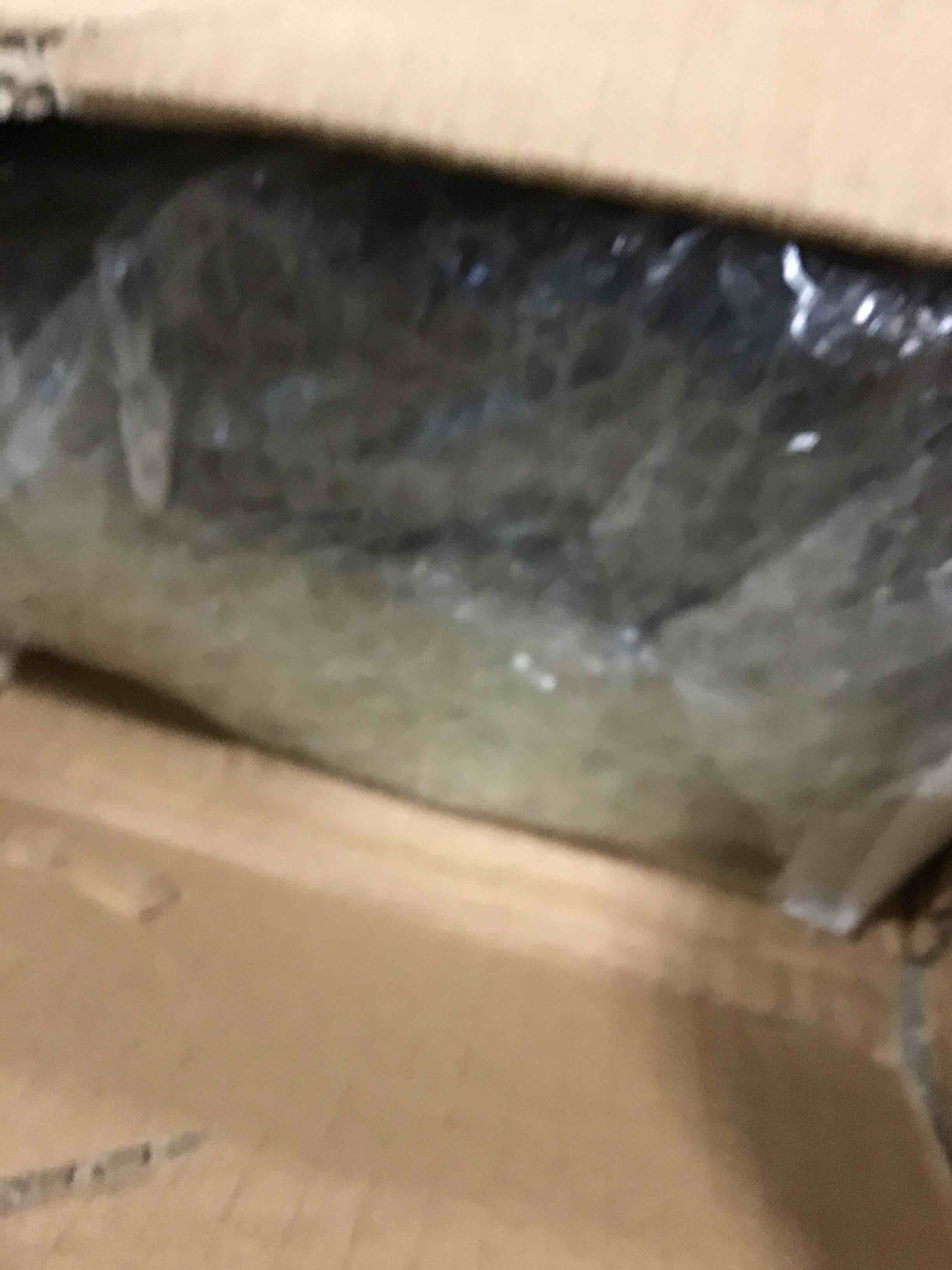 https://s3.amazonaws.com/lotting-images-prod/bidfta/GRA0446370_1732223033162.jpeg