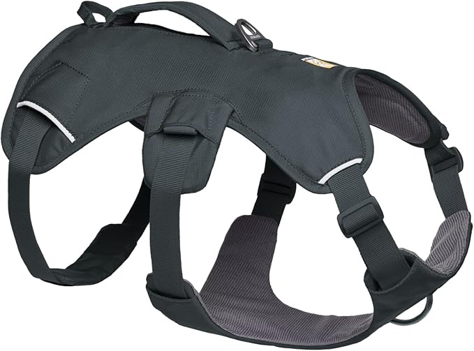 Ruffwear Web Master Dog Harness Small 
