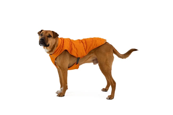 RUFFWEAR, Quinzee Insulated, Water-Resistant Jacket for Dogs with Stuff Sack, Campfire Orange, Medium 