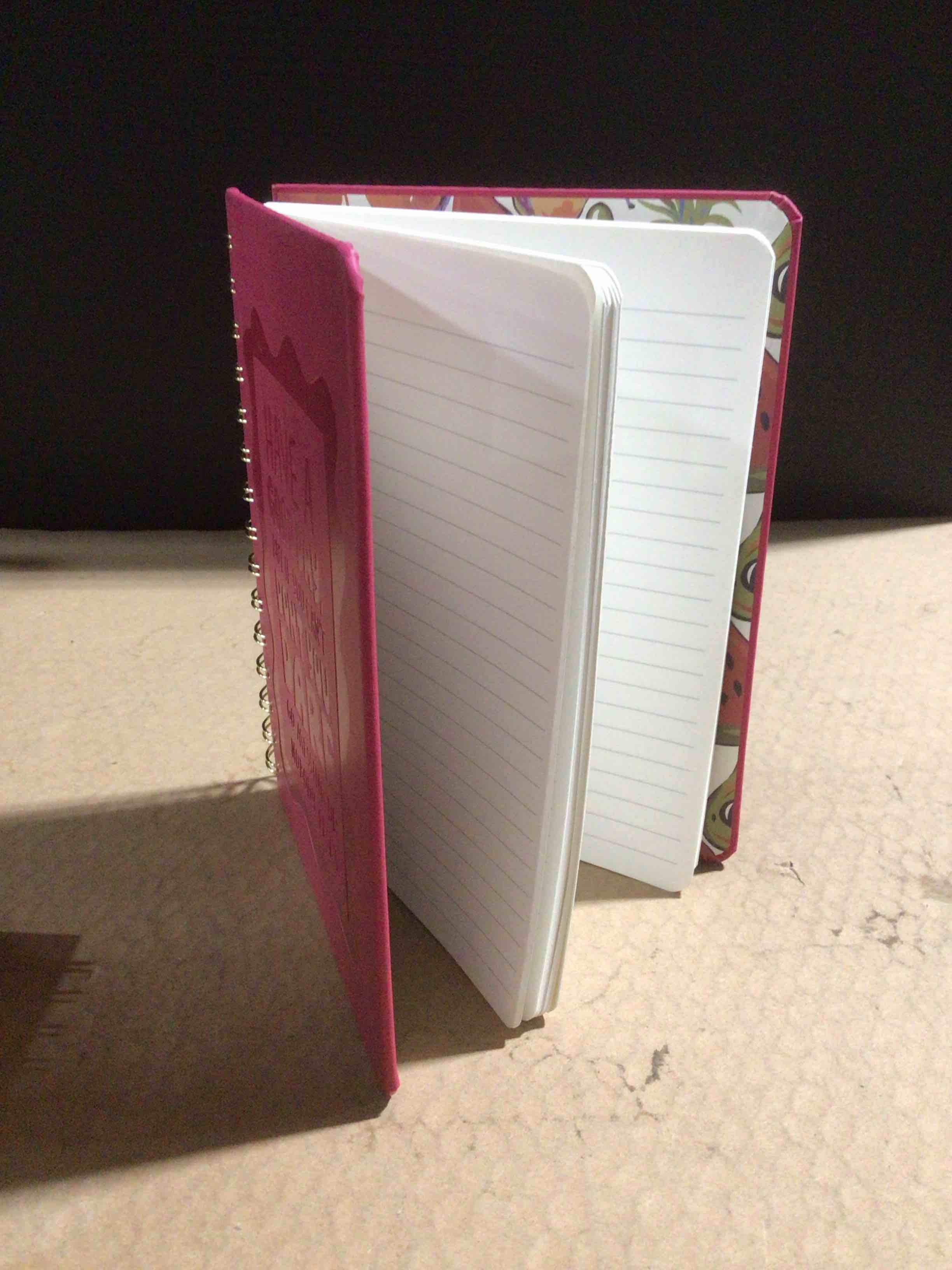 Condition photo showing New/Like New for Good Day Notebook 