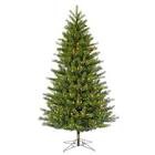 Augusta Pine Pre-lit LED Christmas Tree 12 Ft