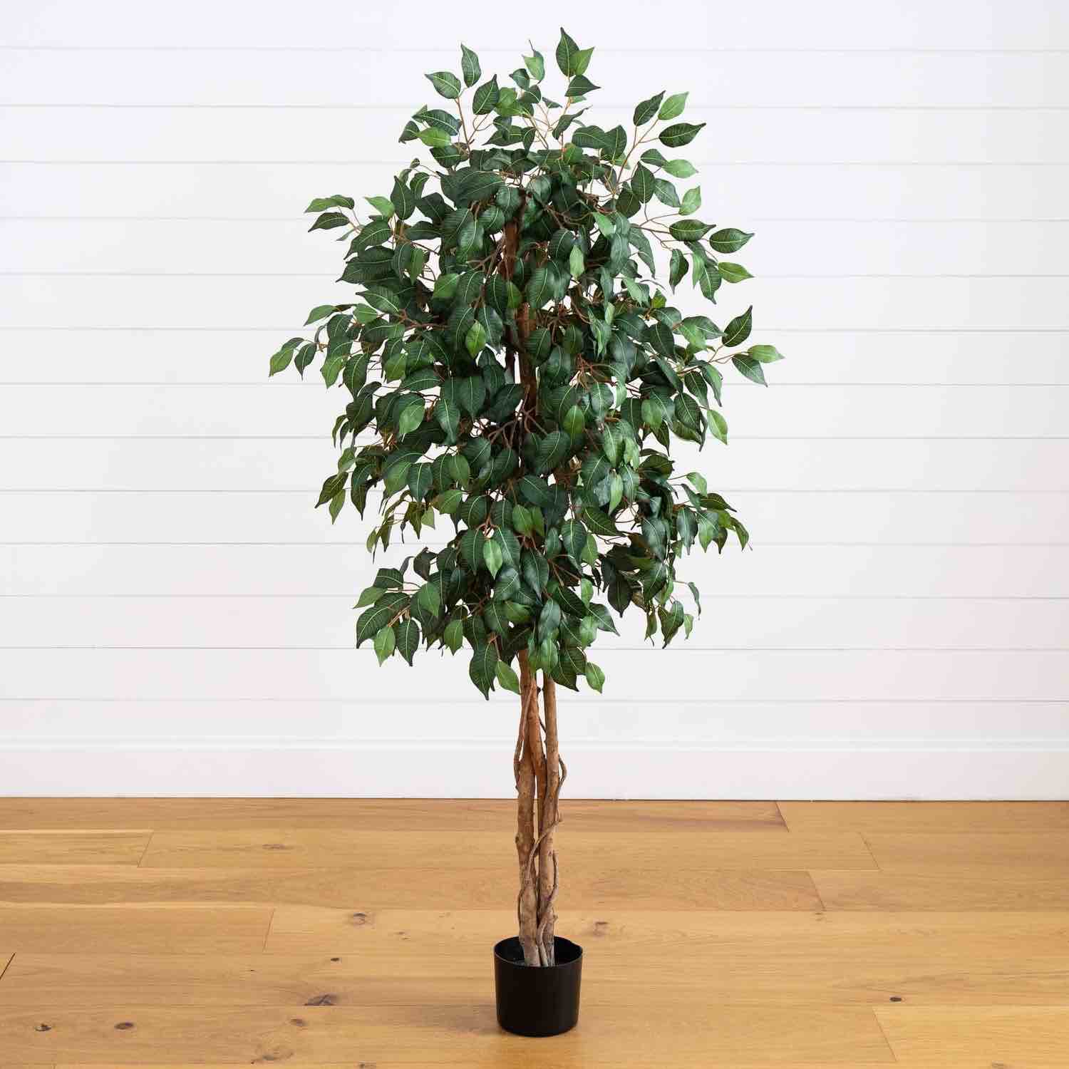 nearly natural 5.5 ft artificial ficus  tree (set 2 ) 