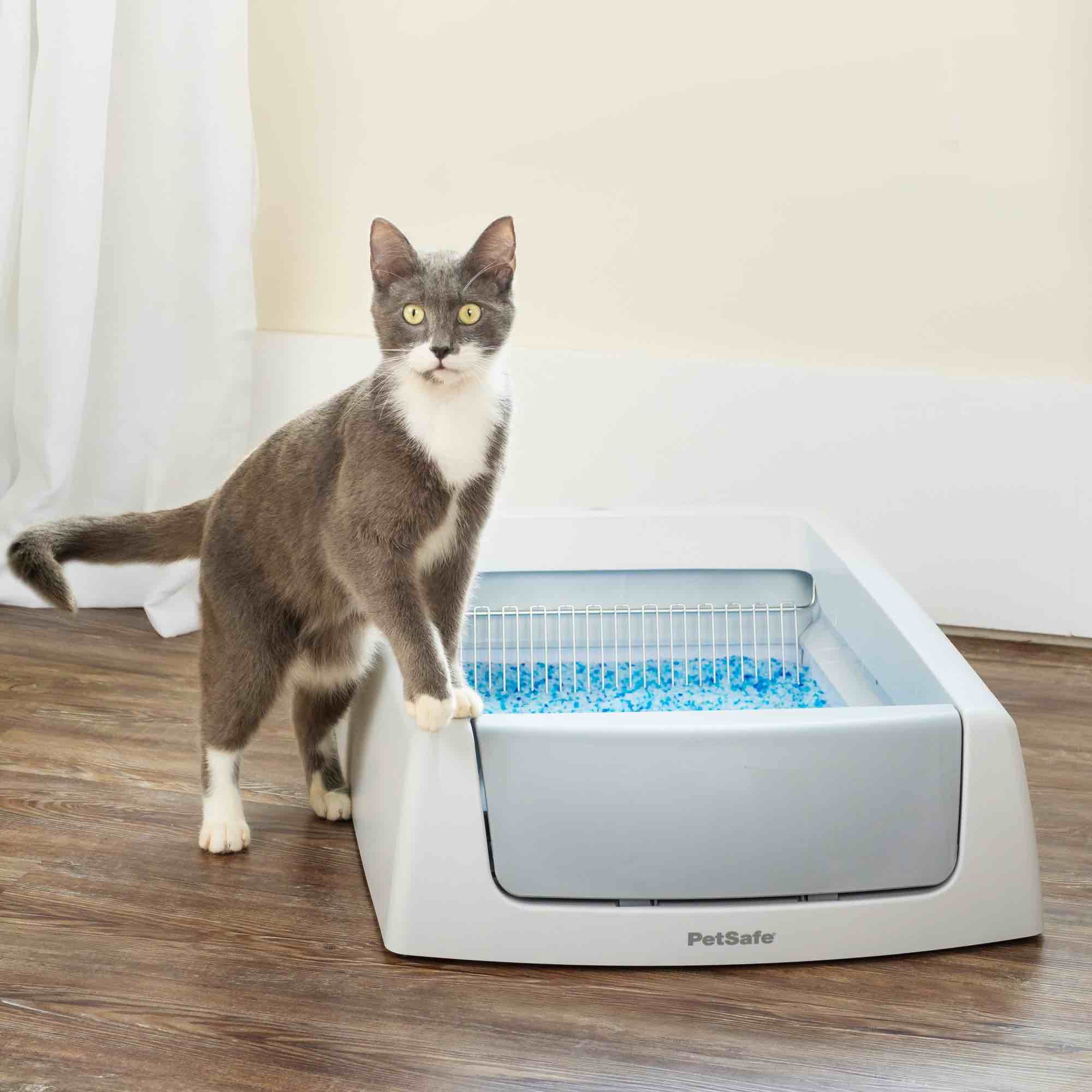 PetSafe ScoopFree Crystal Pro Legacy Self-Cleaning Automatic Litter Box - Uncovered Motion-Sensing Cat Box with Integrated Health Counter - Includes 1 Disposable Crystal Litter Tray