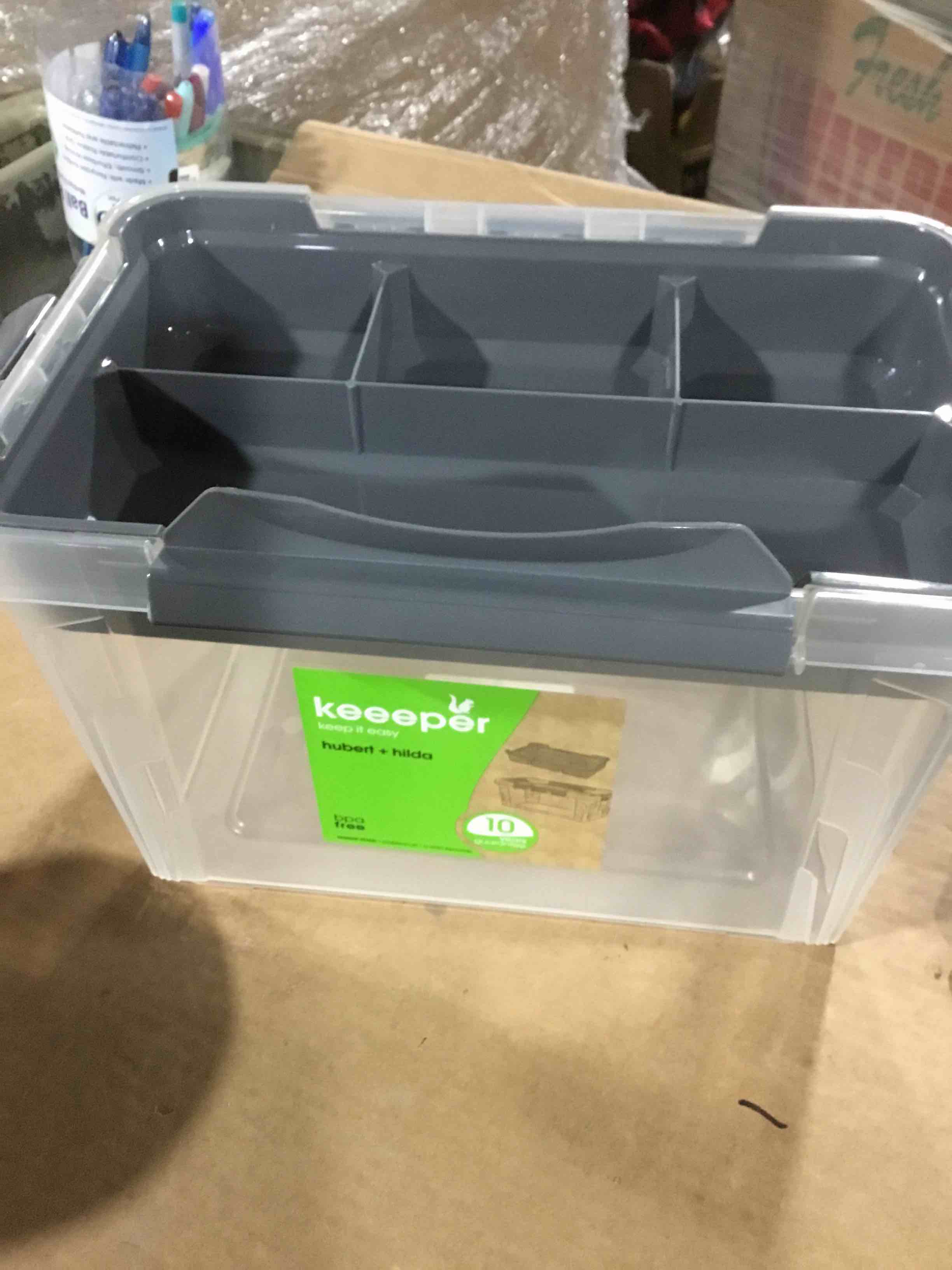 Box of 38 keeeper Hubert+Hilda Storage Box with Lid and Insert, 29 x 19 x 12.4 cm, 4.2 L, Transparent/Taupe