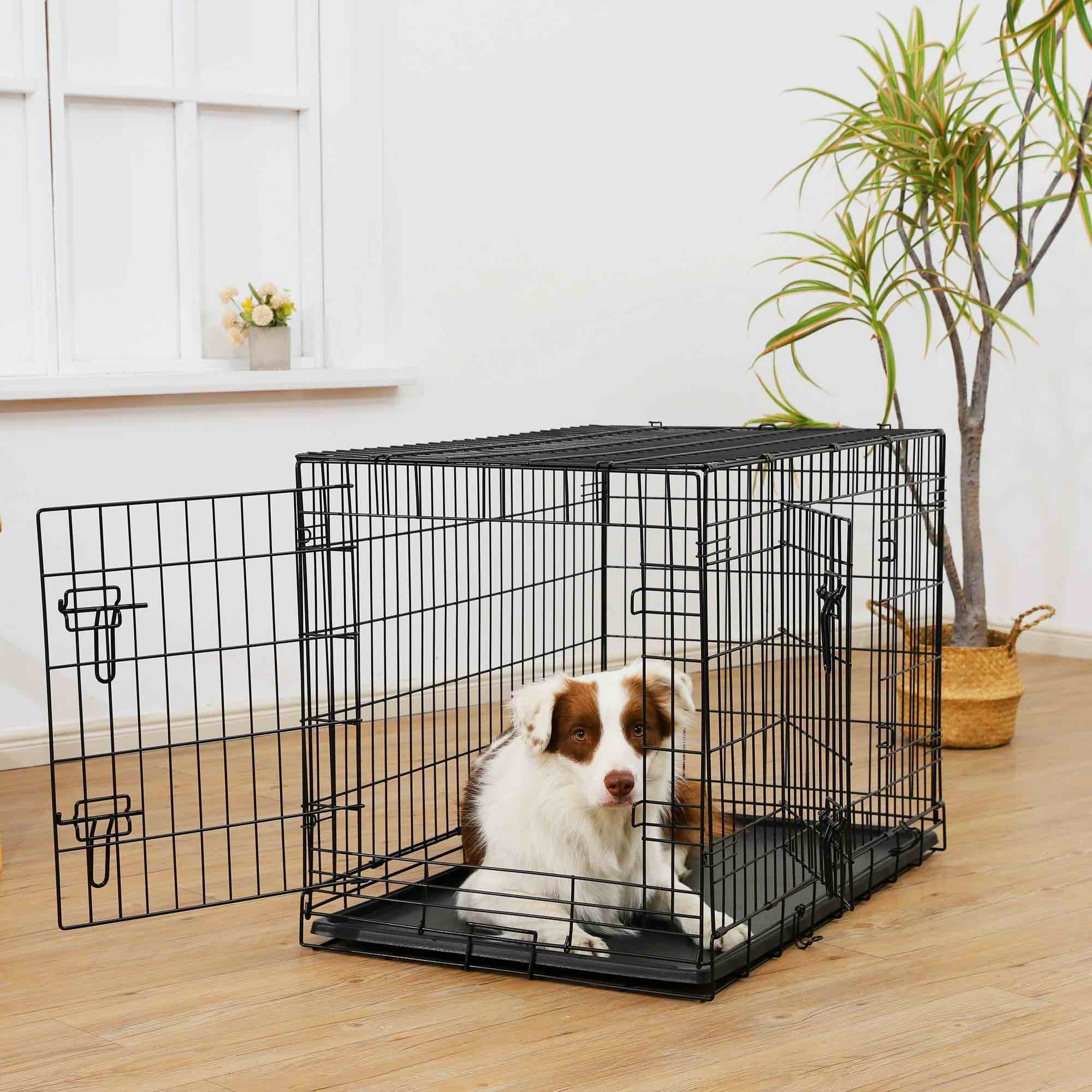Vibrant Life Double Door Metal Wire Dog Crate with Leak-Proof Pan and Divider  36 inch