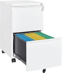 White 2-Drawer Mobile Metal File Cabinet 