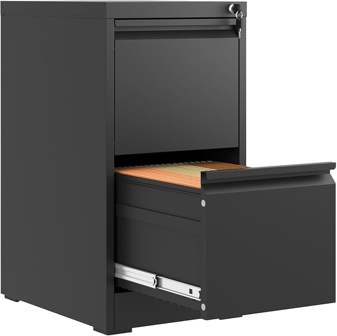 Black 2-Drawer Vertical Metal Filing Cabinet 