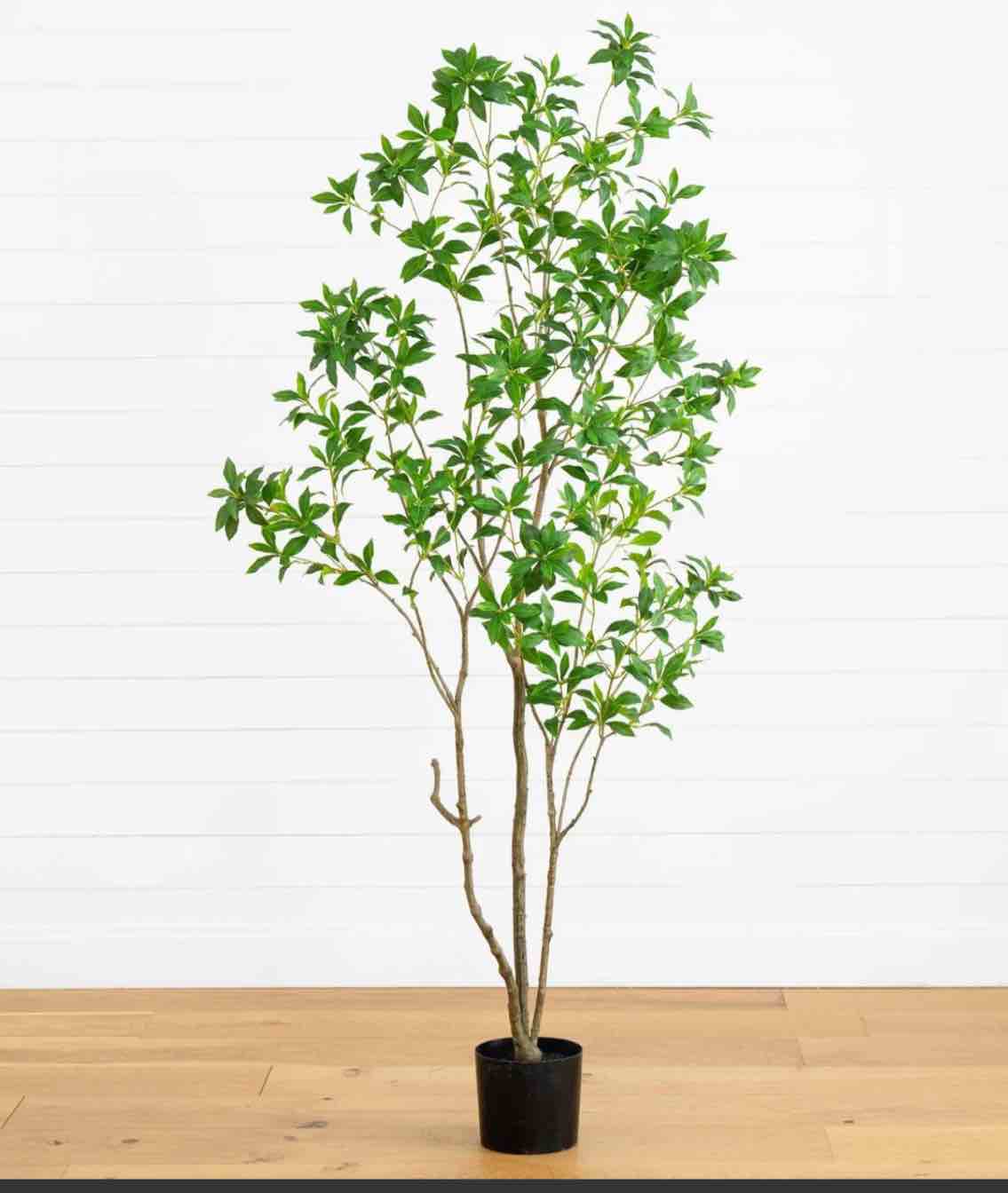 210CM ARTIFICIAL PIERISTREE