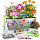 Paint plant and grow your own garden