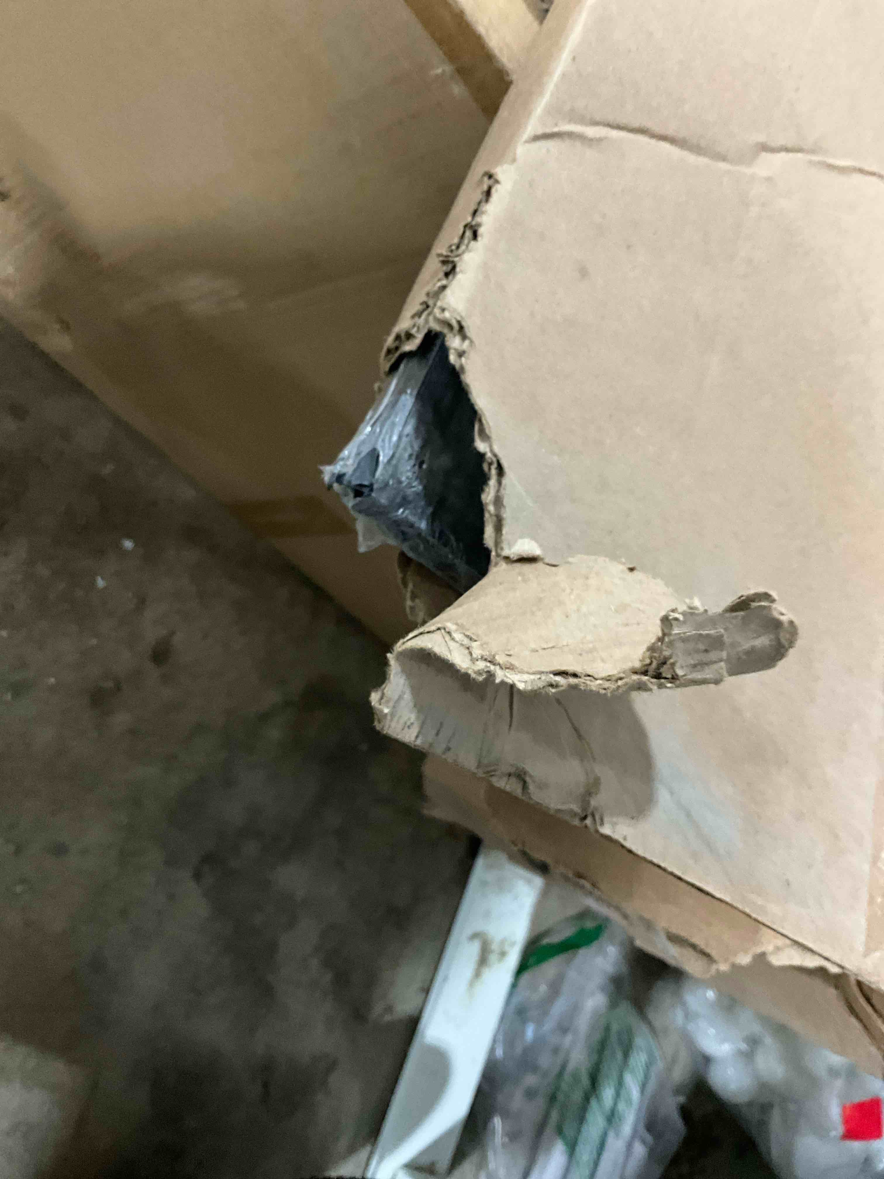 https://s3.amazonaws.com/lotting-images-prod/bidfta/GRA1443925_1753128581254.jpeg