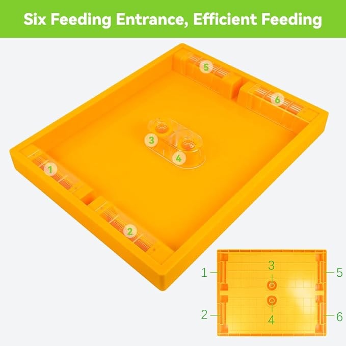 pack beehive feeder for beehive langstroth 10 frame beekeeping supplies 1.2 gallon, bee top feeder for feeding water or sugar cake to bee hives beekeeping feeder equipment