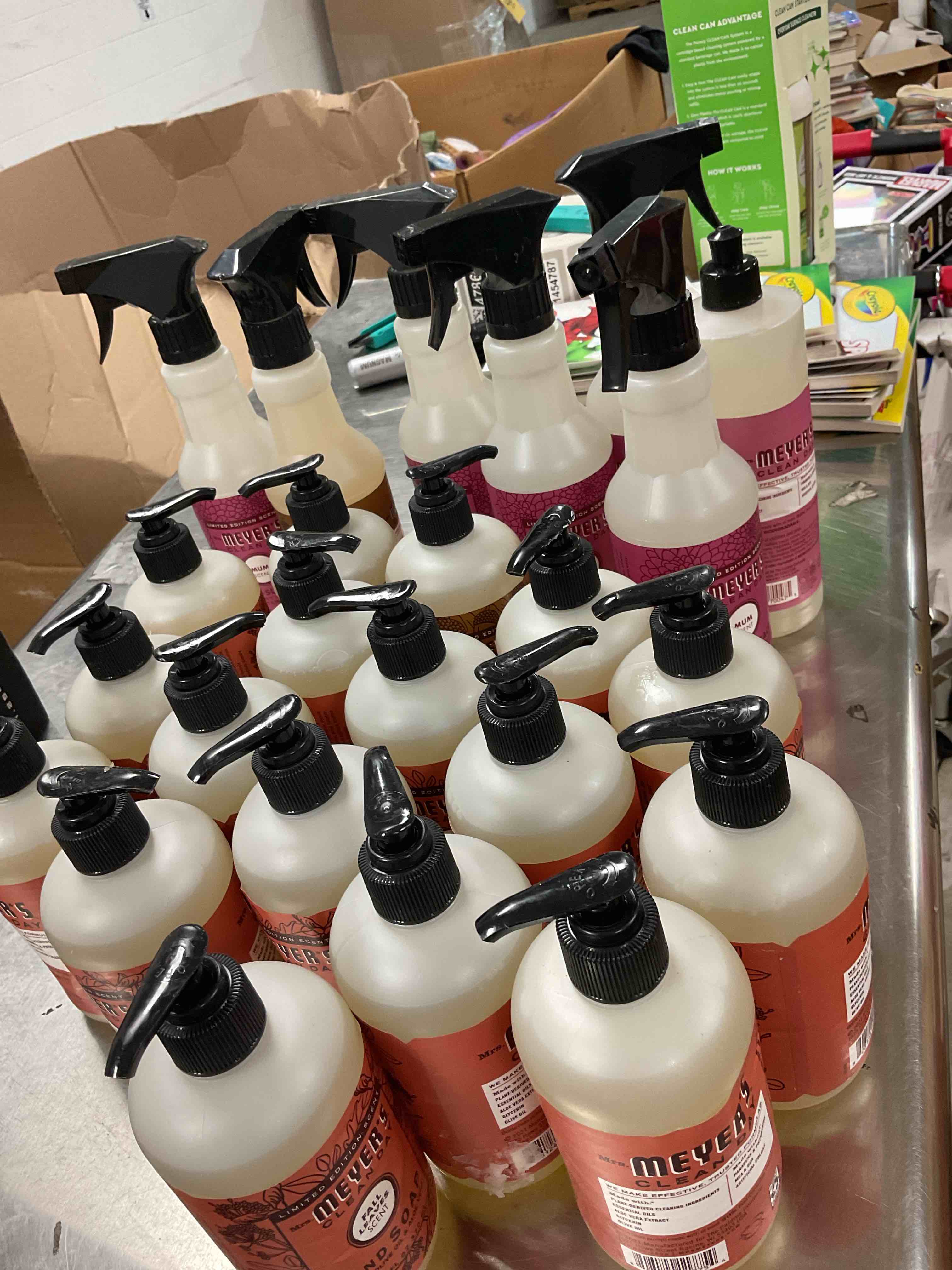 assorted meyers clean day