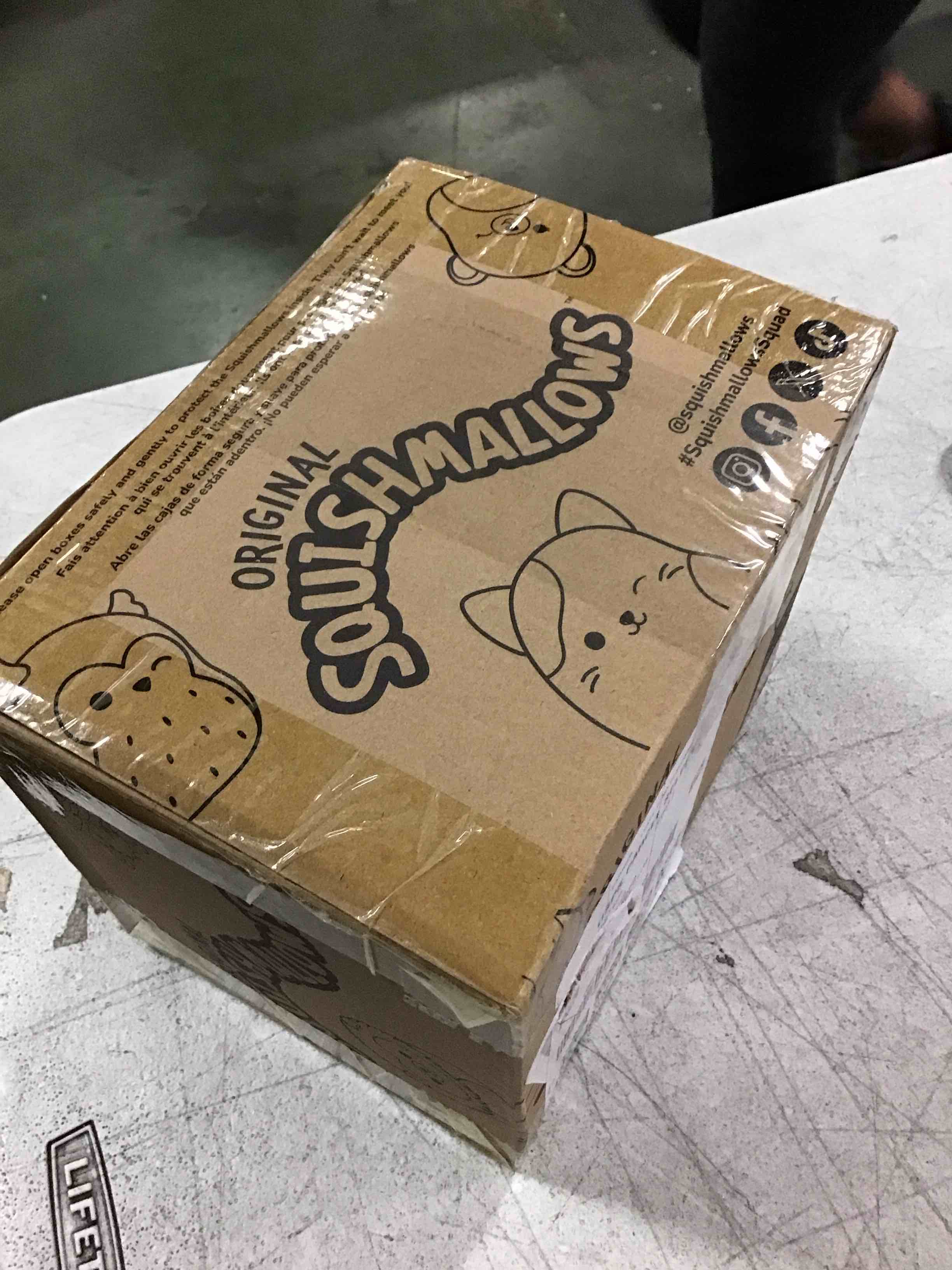 https://s3.amazonaws.com/lotting-images-prod/bidfta/GRA1471360_1733835300828.jpeg