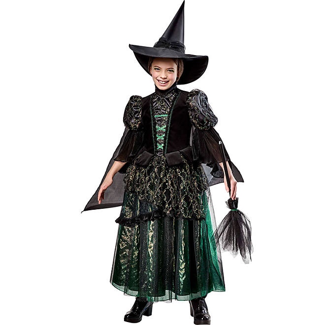 Wizard of Oz Wicked Witch Kids Premium Costume (missing hat and broom)