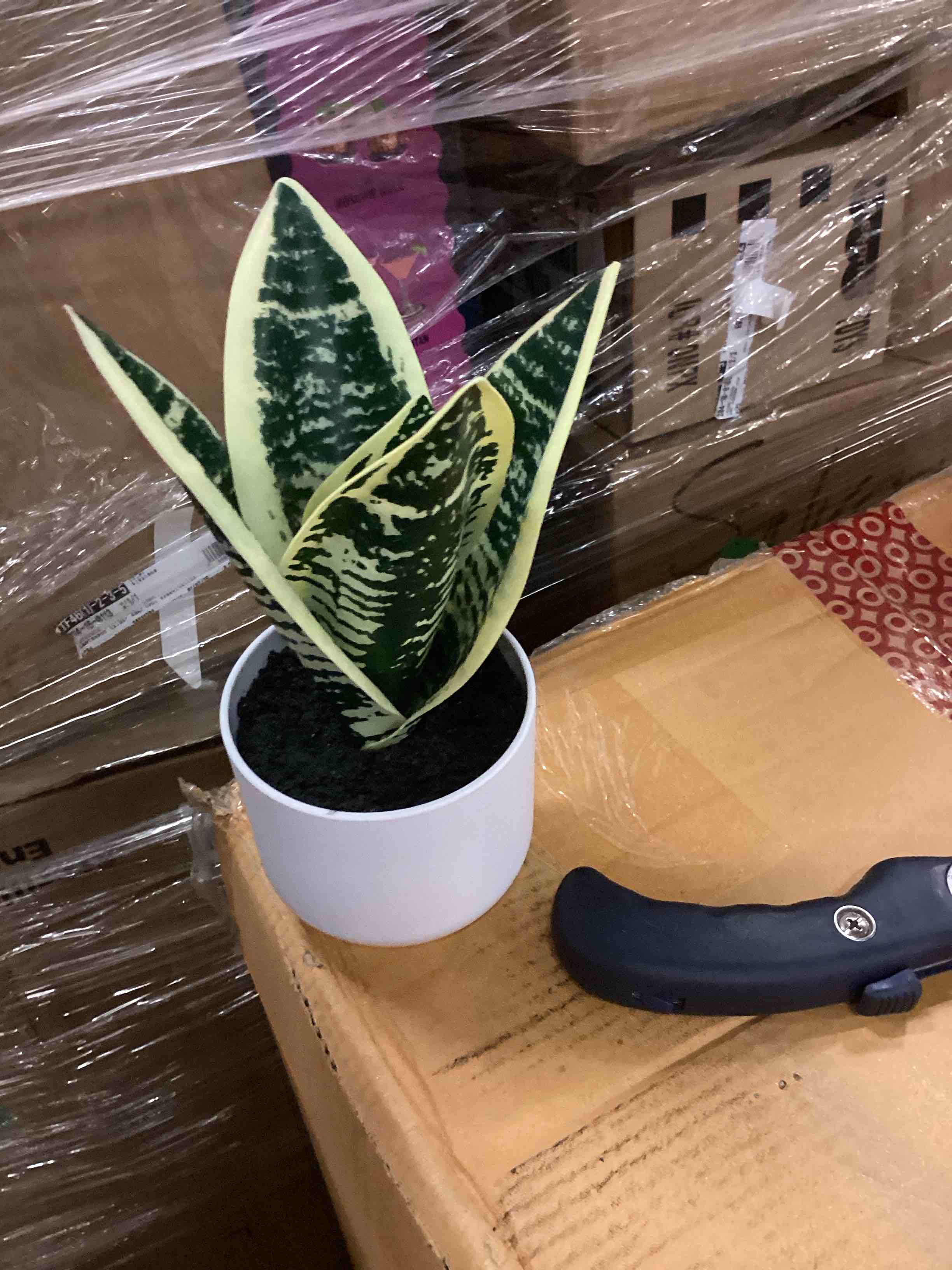 https://s3.amazonaws.com/lotting-images-prod/bidfta/GRA1504263_1749753372902.jpeg