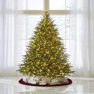 The World's Best Prelit Fraser Fir
