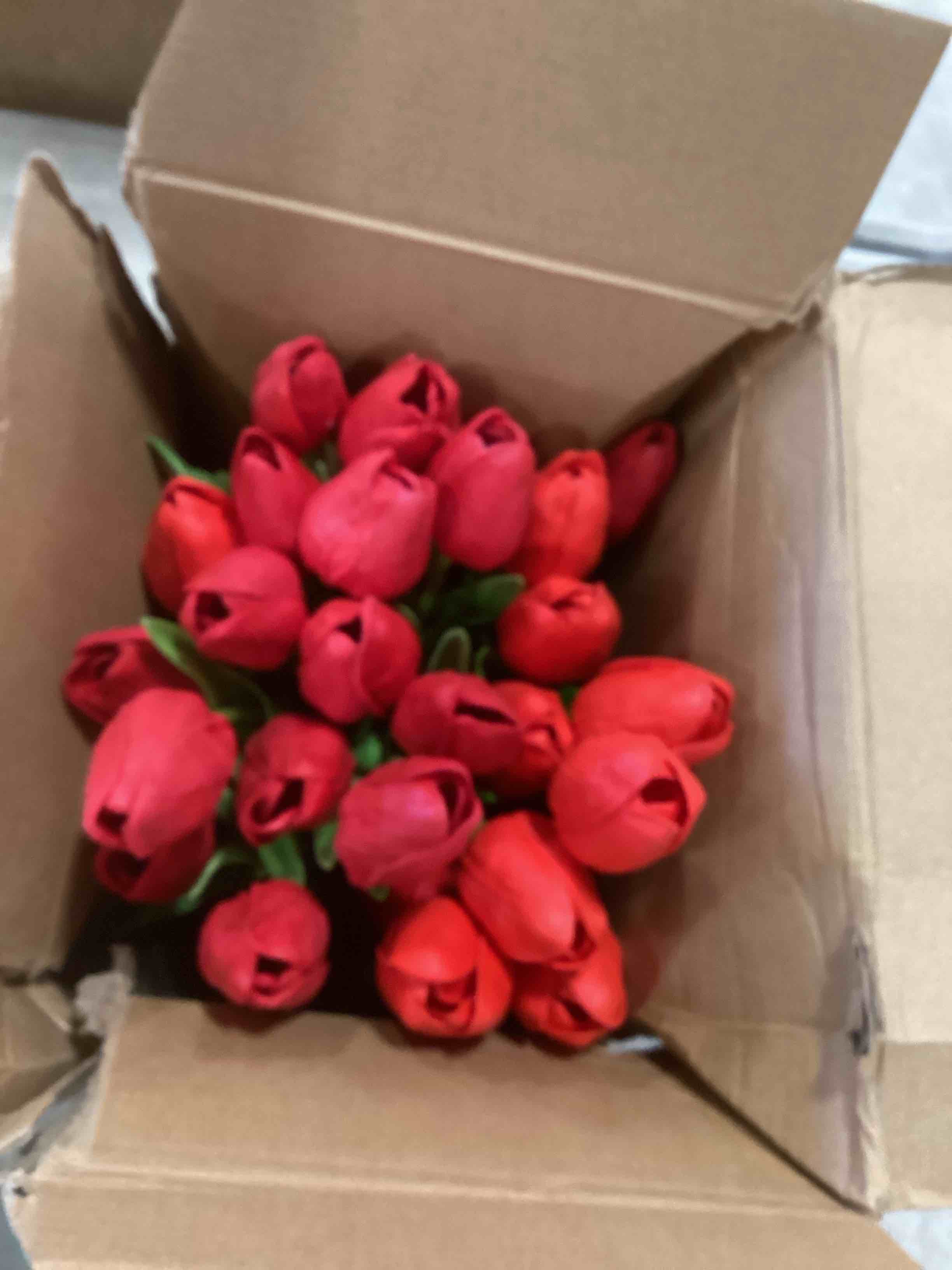https://s3.amazonaws.com/lotting-images-prod/bidfta/GRA1557173_1743004534025.jpeg