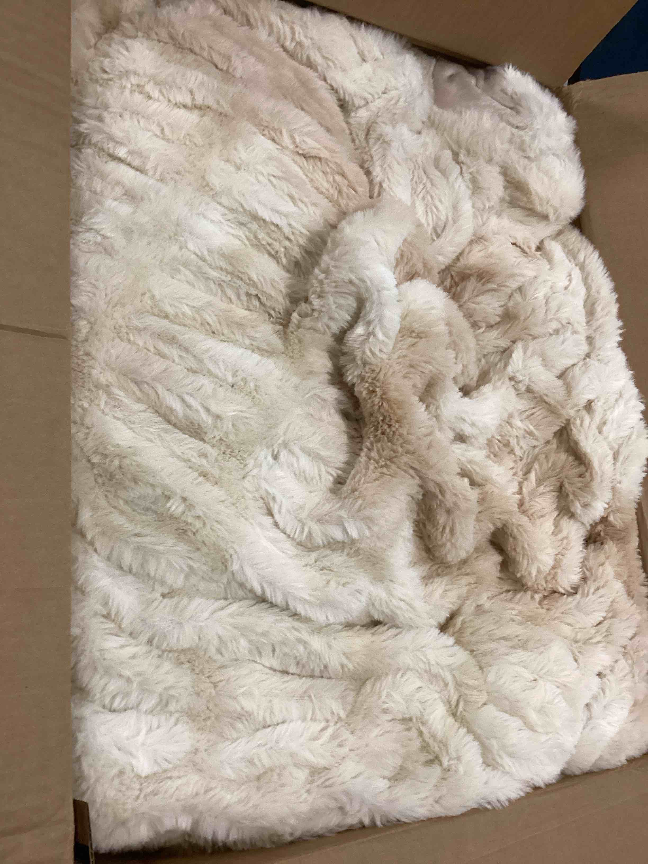 https://s3.amazonaws.com/lotting-images-prod/bidfta/GRA1570141_1733778681431.jpeg