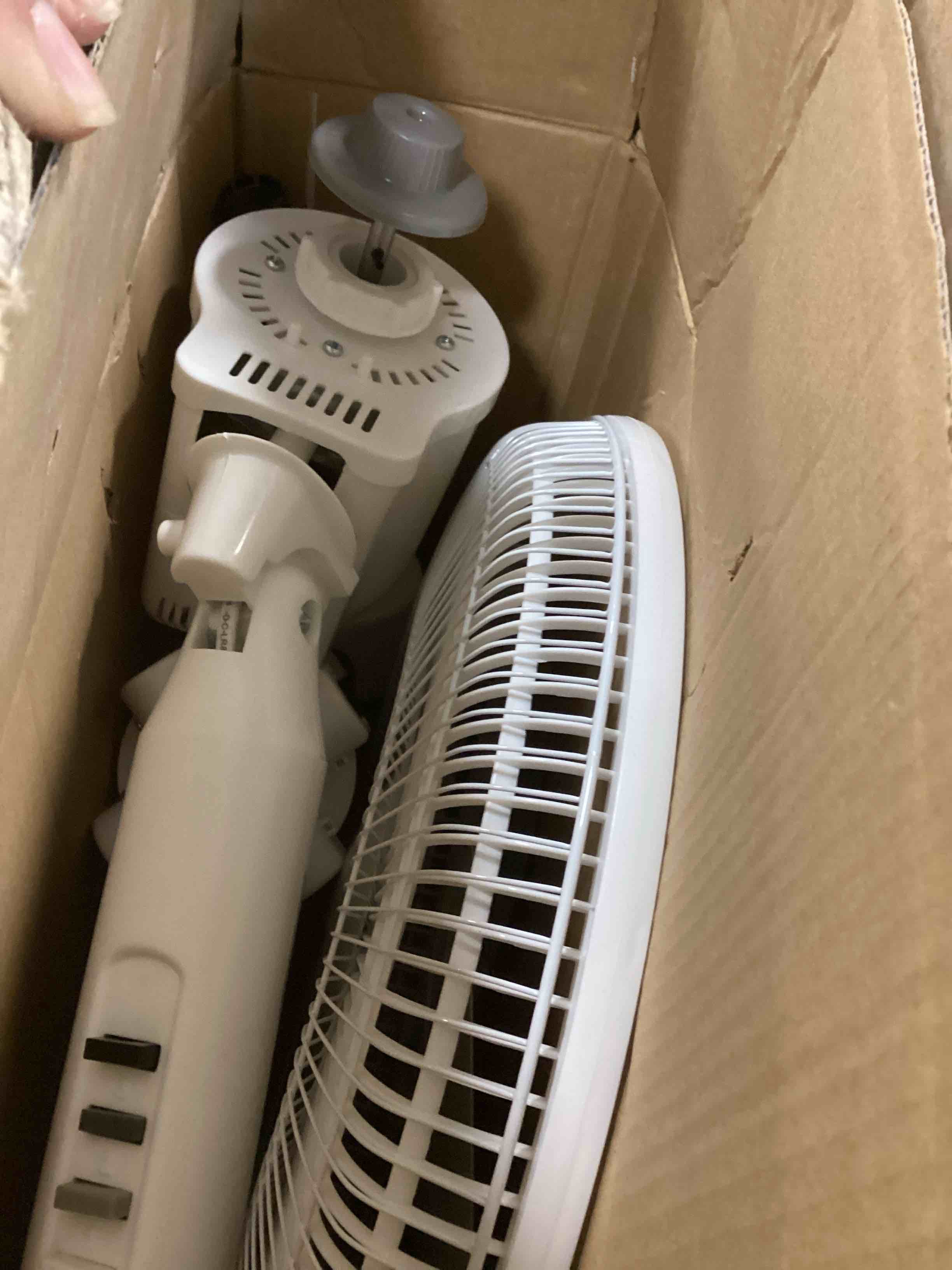 https://s3.amazonaws.com/lotting-images-prod/bidfta/GRA1570409_1733919619640.jpeg