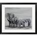 Elephant Parade -Picture Frame Painting Print on Paper