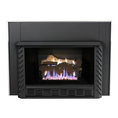Vent Free Natural Gas/Propane Fireplace Insert