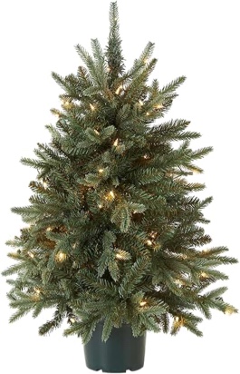 3ft. Everyday Collection Potted Evergreen Tree with Clear Lights
