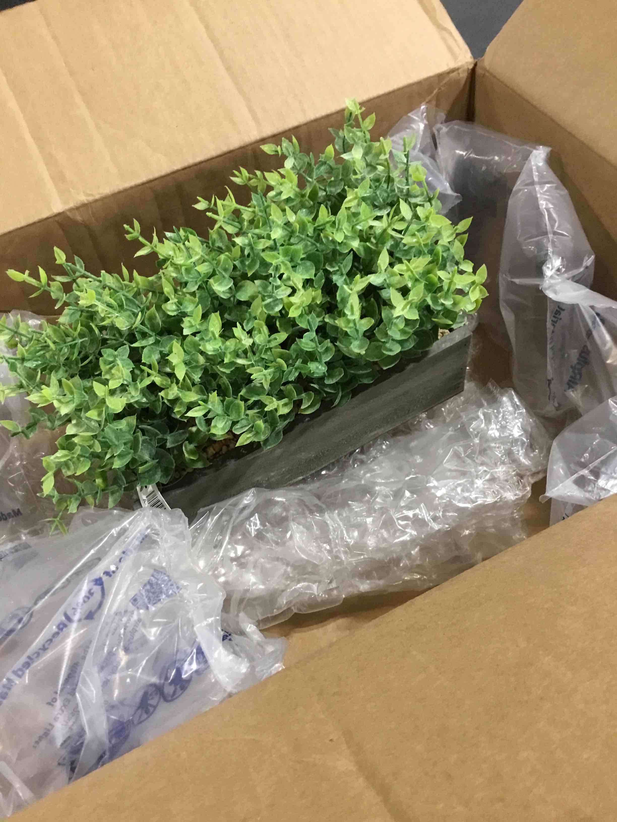 7" Boxwood In Rustic Wooden Box Centerpiece