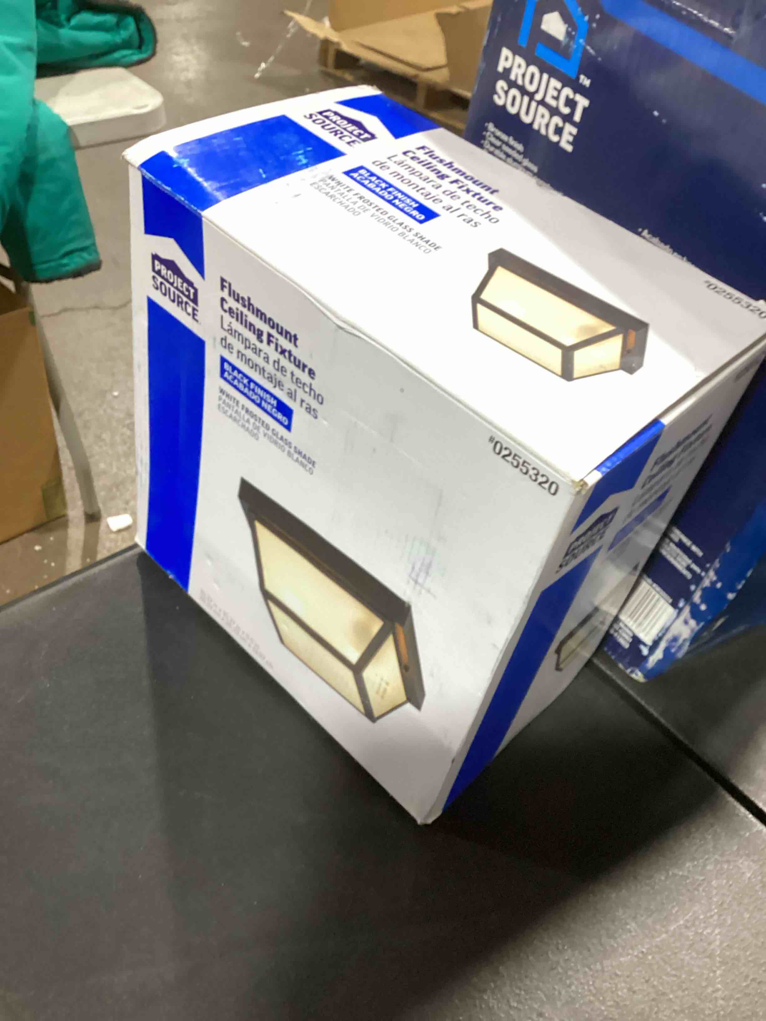 Project Source Flushmount Ceiling Fixture