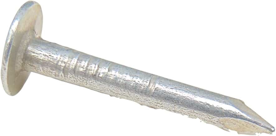 Grip Rite 1EGRFG10BK 1 Electro Galvanized Smooth Shank Bulk Roof Nials