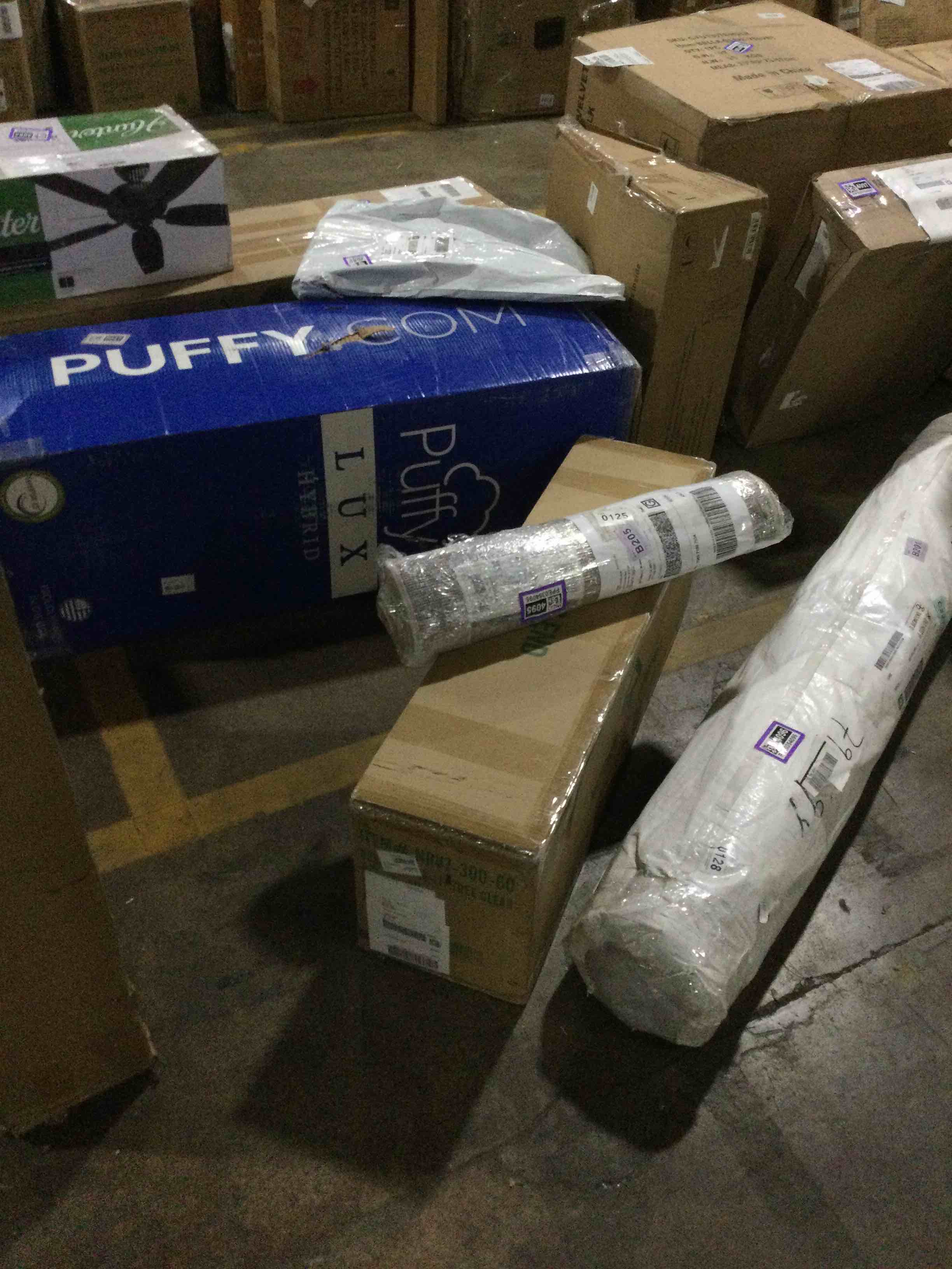 North Valley Spruce Tree with Clear Lights