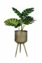 Botanique Round Plant Stand