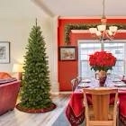 North Valley Spruce Pencil Slim Tree
