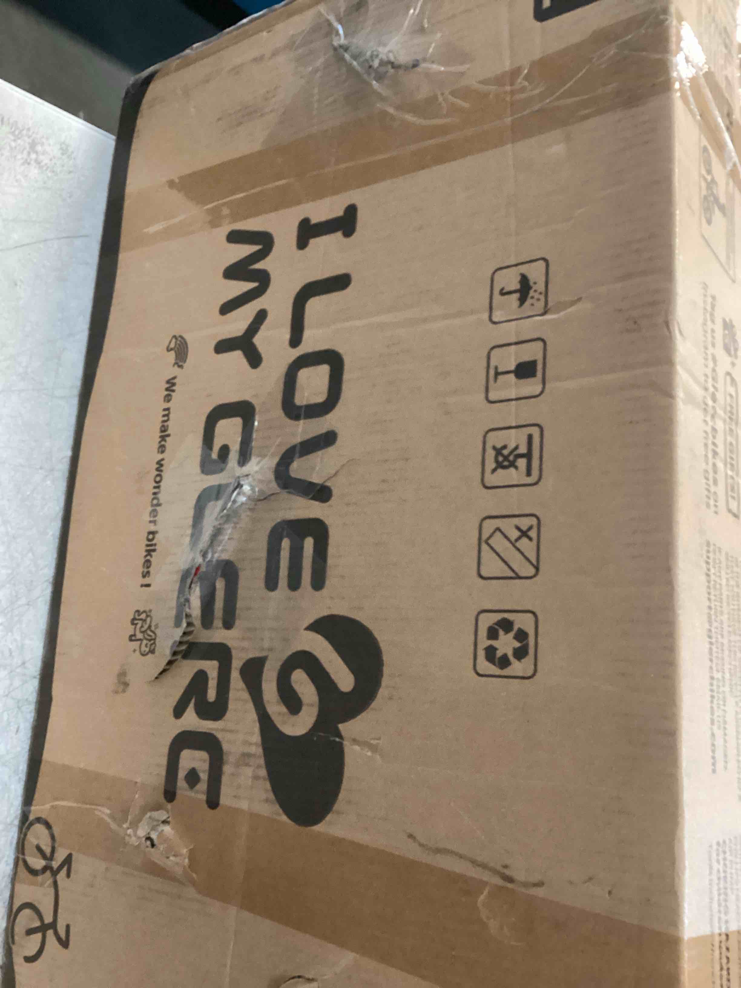 https://s3.amazonaws.com/lotting-images-prod/bidfta/GRA1702048_1736440075449.jpeg