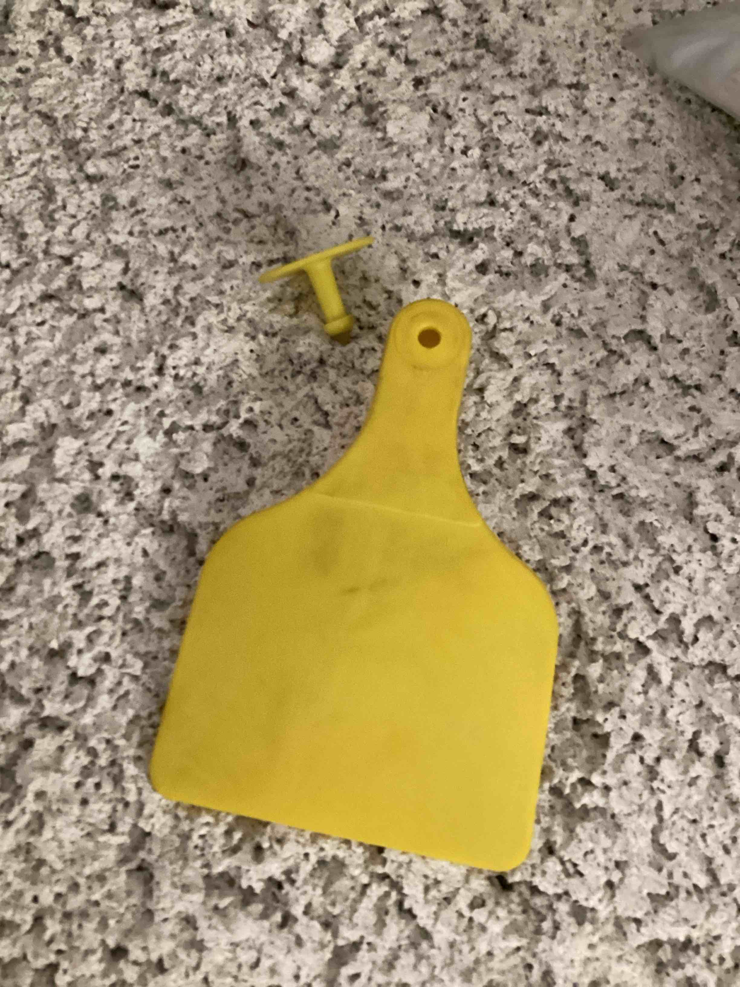 Condition photo showing Good Condition for Blank Ear Tags for Cattle Livestock Ear Tags for Cows Hogs Sheep, 100 Pieces (Yellow)