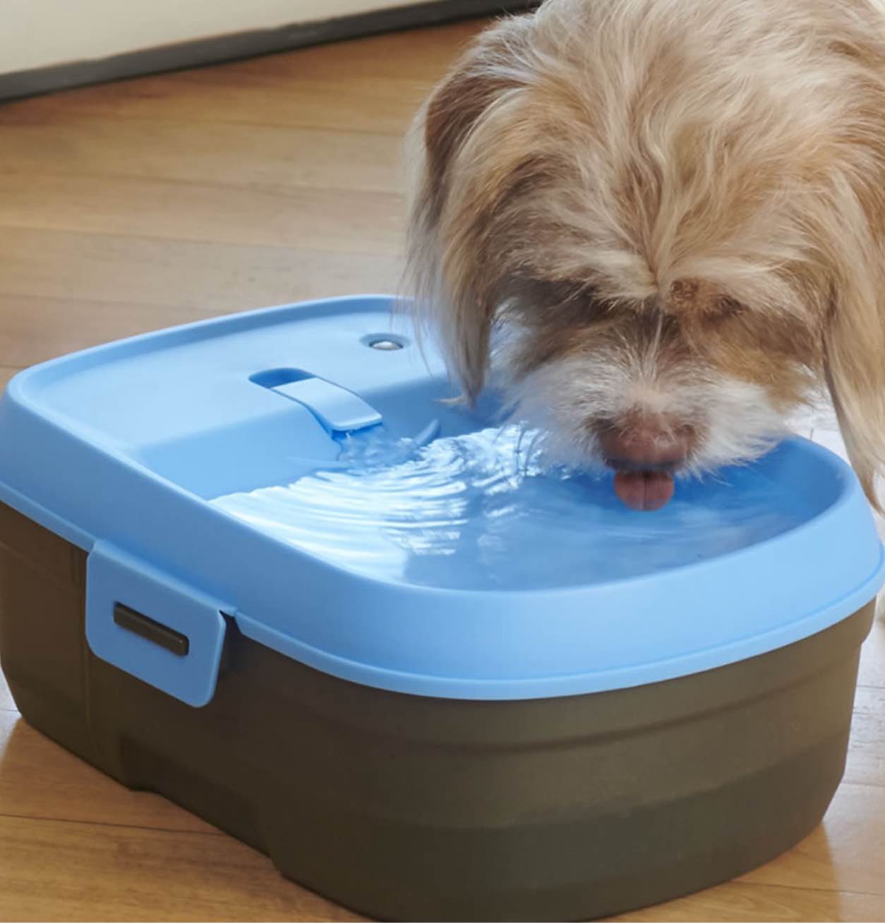 The Pet's Cordless Filtered Water Fountain