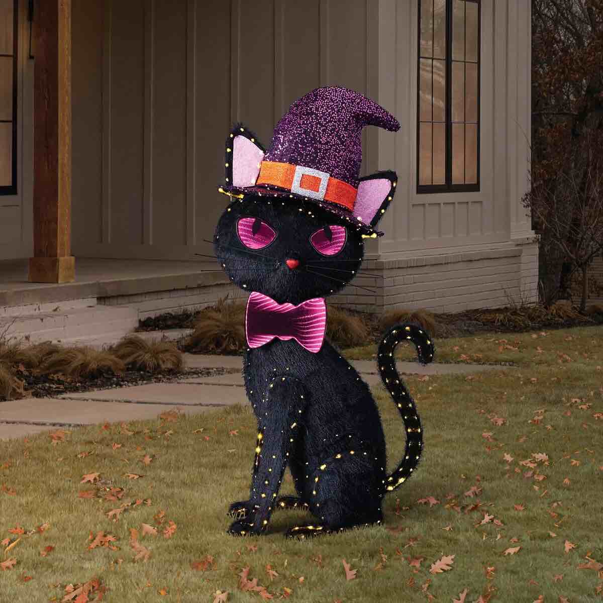 Member's Mark 5' Pre-Lit LED Infinity Mirror Black Cat Pal