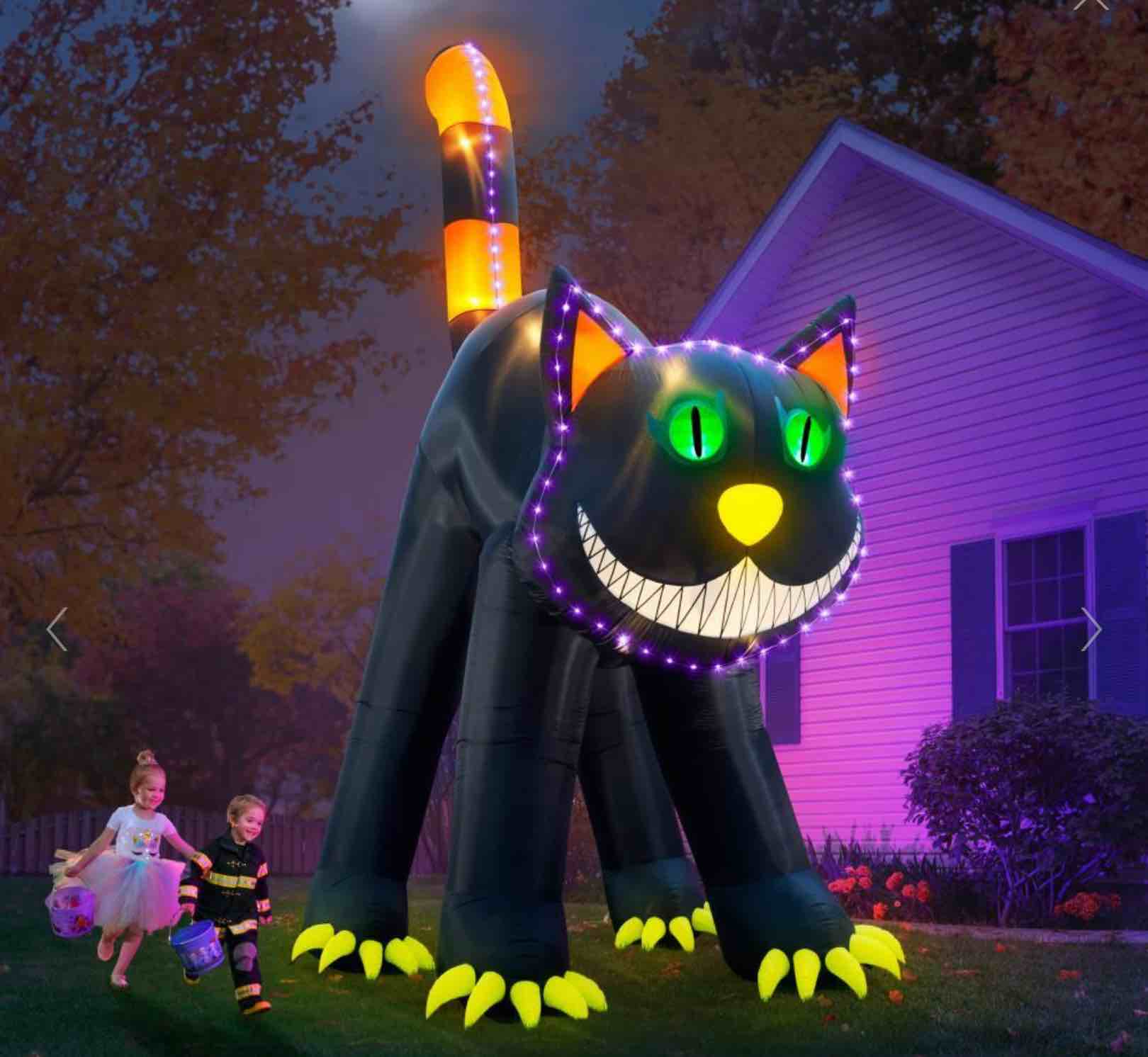 The 17' Blinking Black Cat