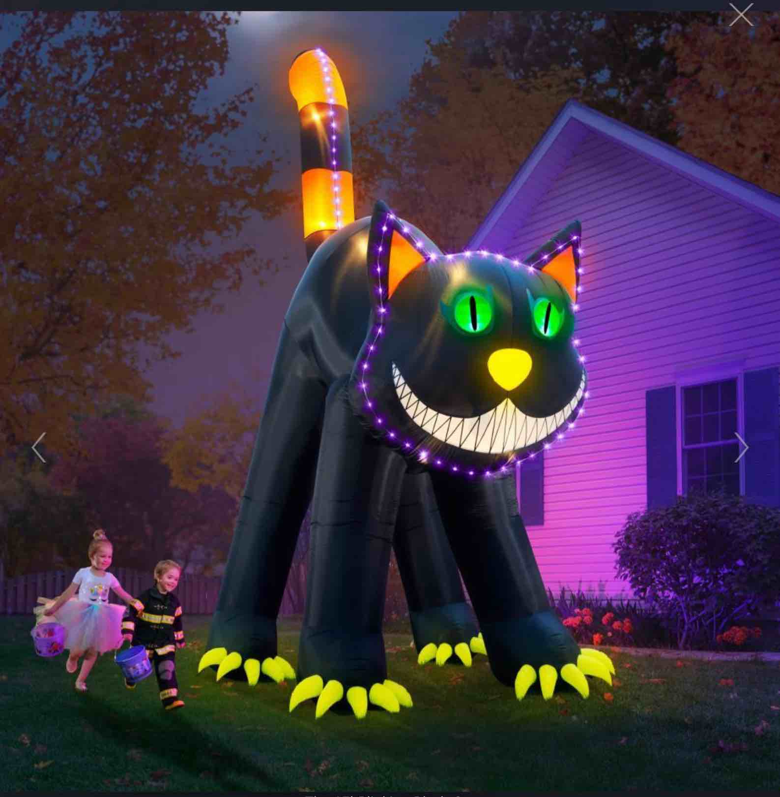 The 17' Blinking Black Cat