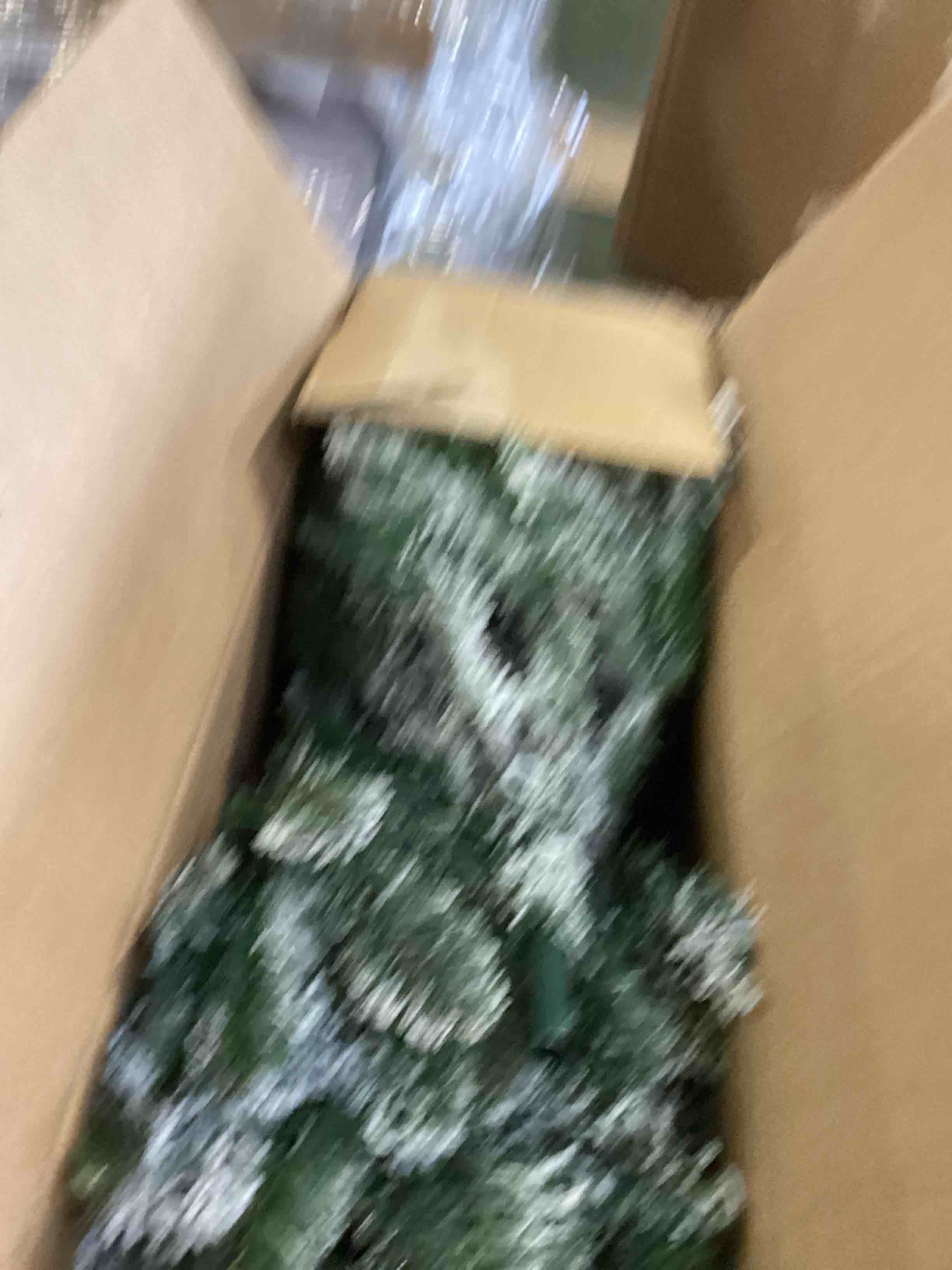 https://s3.amazonaws.com/lotting-images-prod/bidfta/GRA1787519_1737059341921.jpeg