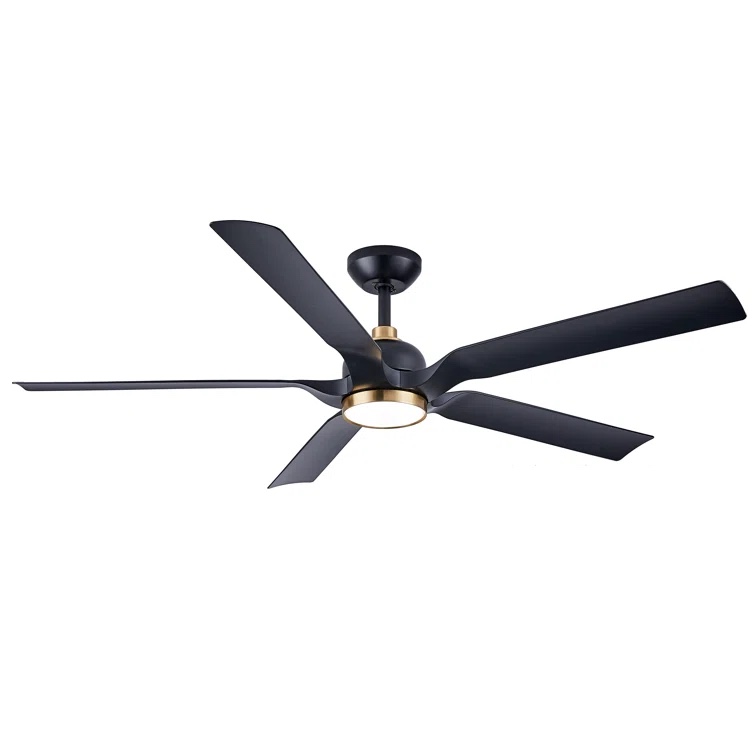 Bayonne Ceiling Fan with LED Lights
