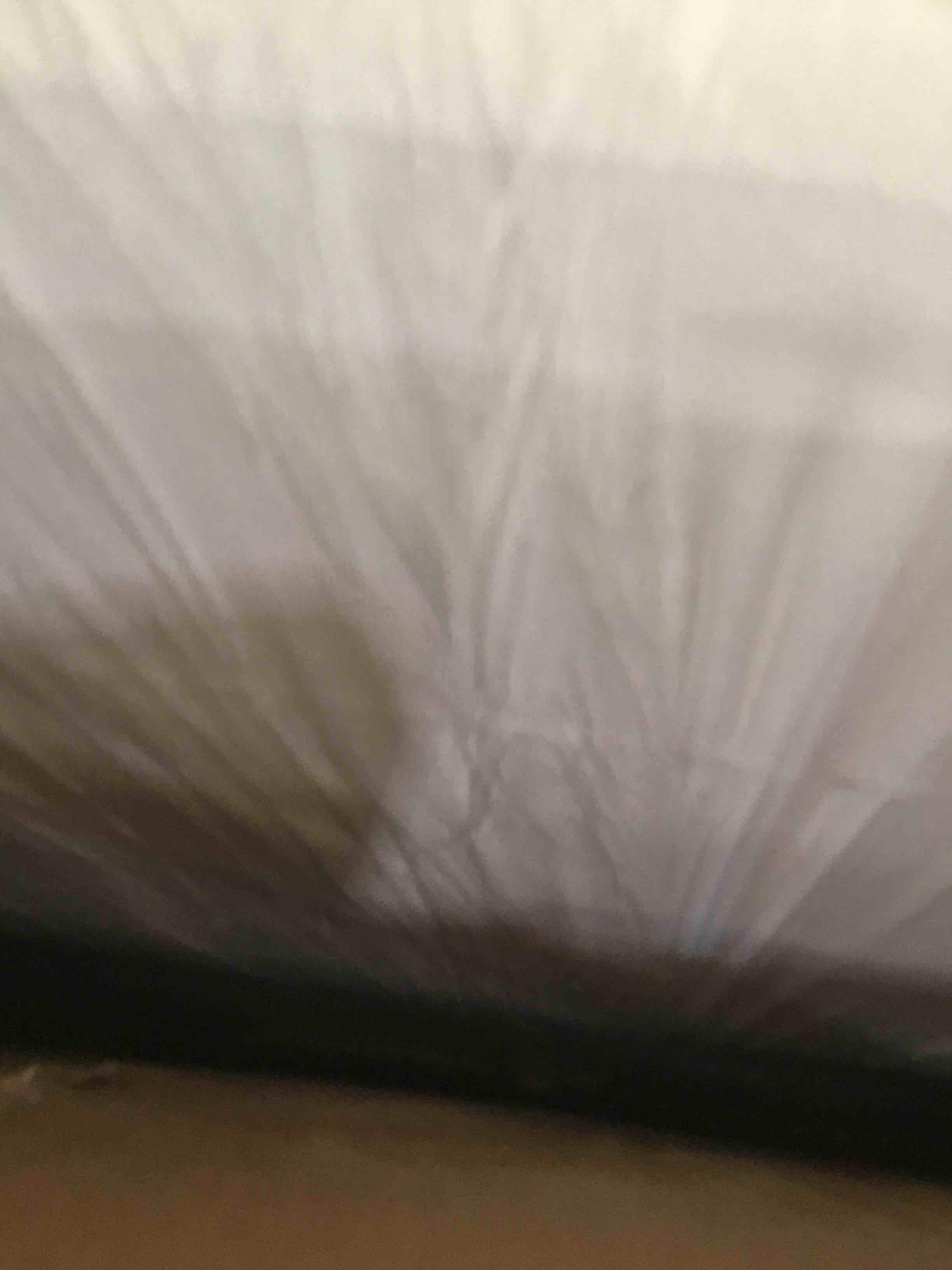 https://s3.amazonaws.com/lotting-images-prod/bidfta/GRA1794212_1752091580314.jpeg