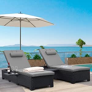 Outdoor Chaise Lounge Chairs for Outside Patio Furniture 