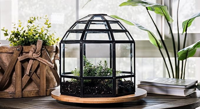 Handmade Birdcage Large Glass Terrarium 10" x 9" x 9" (Black)