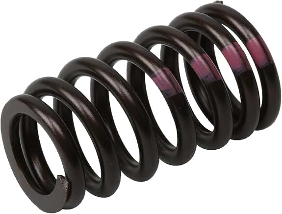 ACDelco 12713265 - Genuine GM Parts Valve Spring