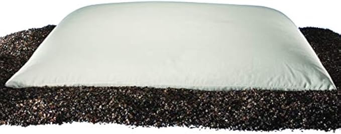 Sobakawa Traditional Buckwheat Pillow Organic Cotton with Natural Technology for Cool Sleep, Neck Support for Back and Side Sleepers or as a Meditation Cushion, White (Standard)