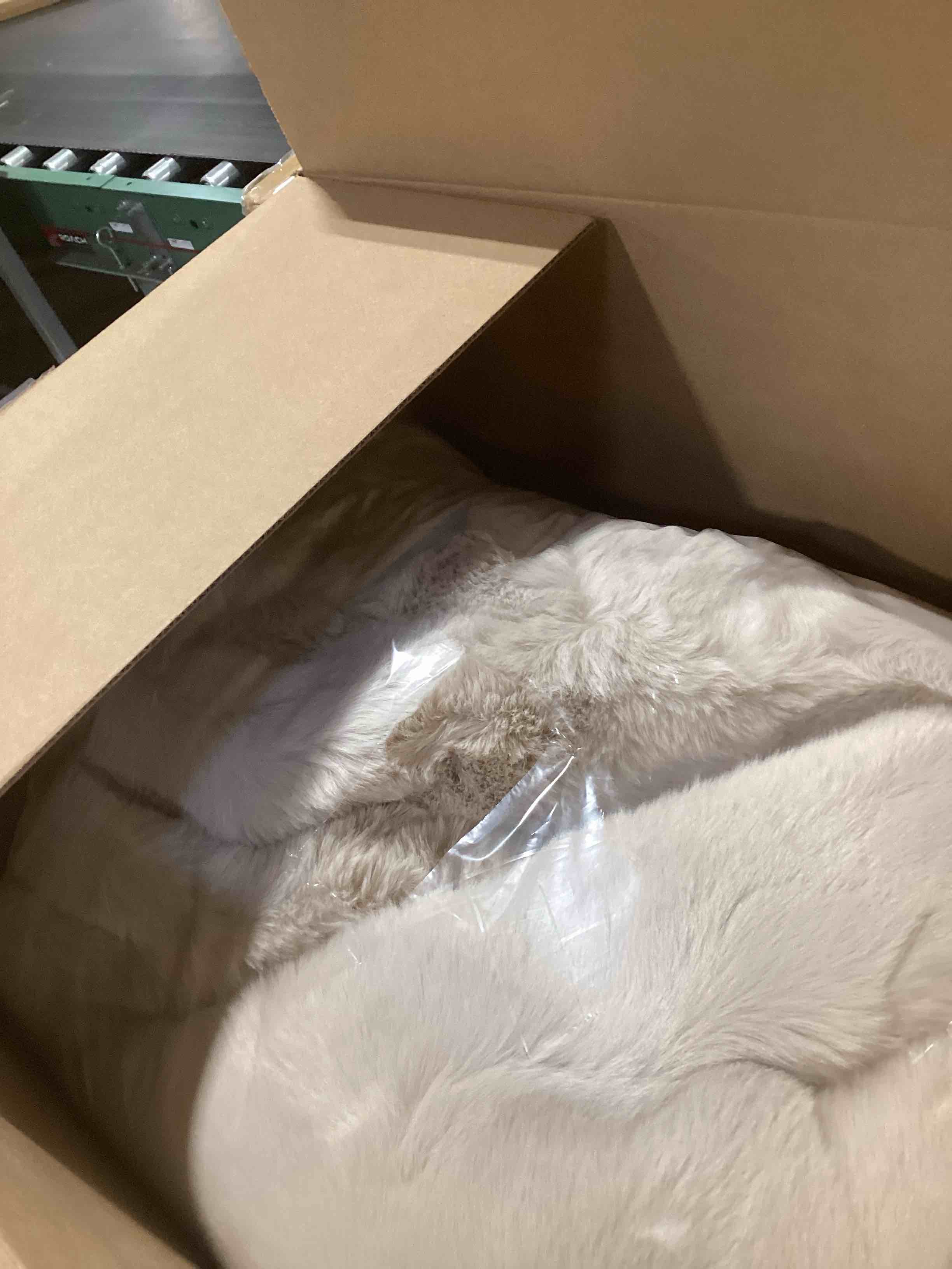 Condition photo showing Good Condition for EVERGRACEHOME Luxury Soft Faux Chinchilla Fur Throw Blanket for Couch, Warm Thick Heavy Winter Throw Blanket 1220GSM for Bed, Fluffy Cozy Mink Blanket with Reversible Velvet, Birch Mink, 50"x60" Birch Mink 50"x60"