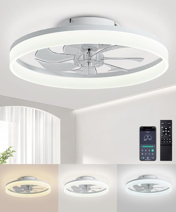 CEILING FAN WITH LIGHT