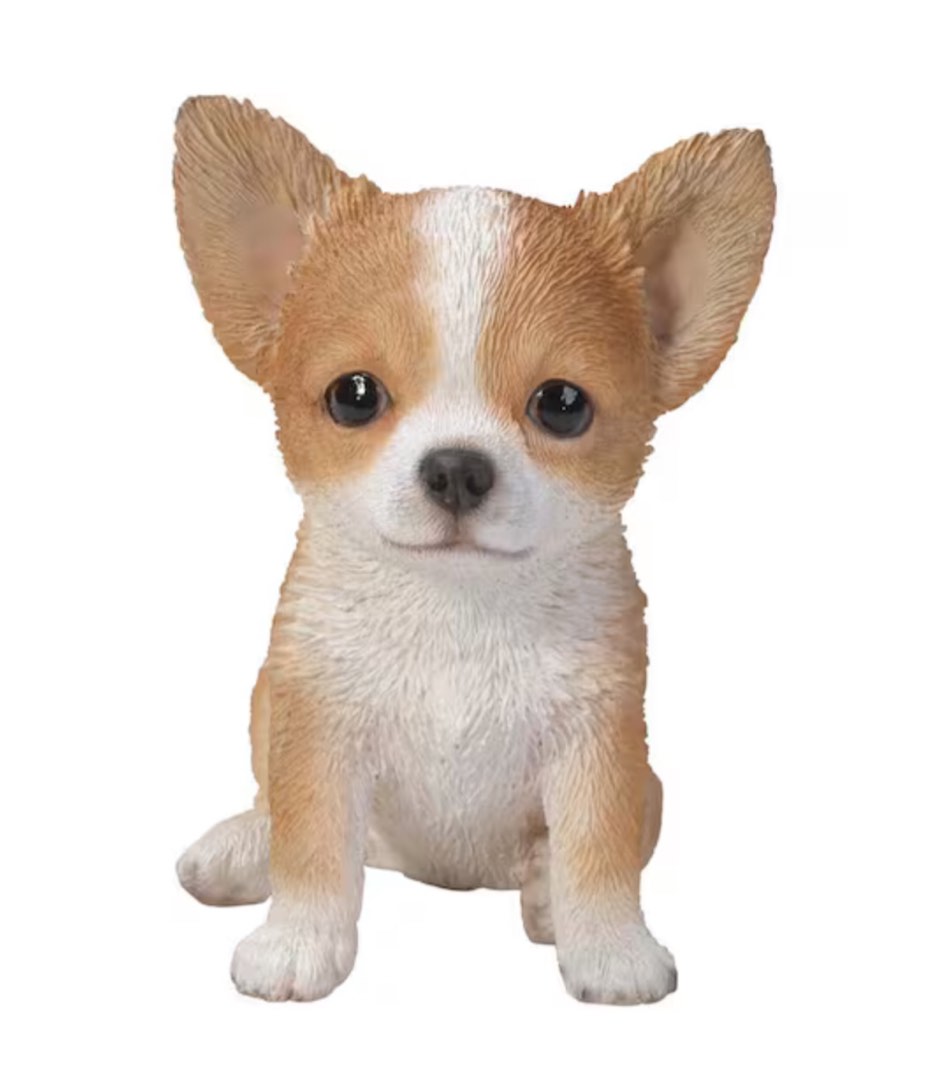 Brown/White Chihuahua Puppy Statue