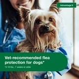 Advantage II Vet-Recommended Flea Prevention for Small Dogs 3-10 lbs, 6-Monthly Treatments