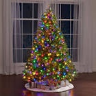 The World's Best Prelit Douglas Fir